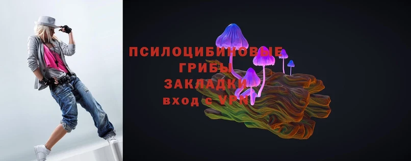 Псилоцибиновые грибы Magic Shrooms  сколько стоит  даркнет Telegram  Енисейск 