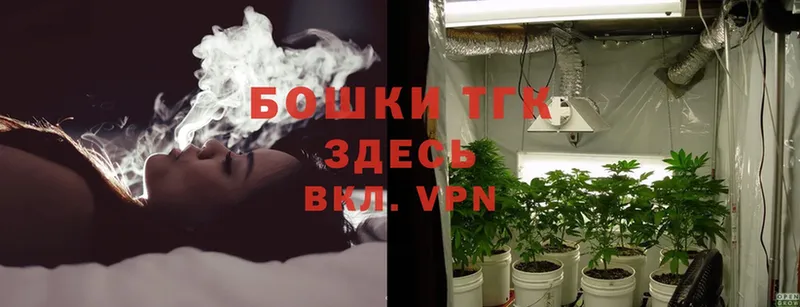 Канабис THC 21%  купить наркотики сайты  гидра   Енисейск 